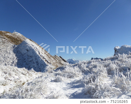 Beautiful winter landscape at Federispitz, a peak in Eastern Switzerland Beautiful winter landscape at Federispitz, a peak in Eastern Switzerland 75210265