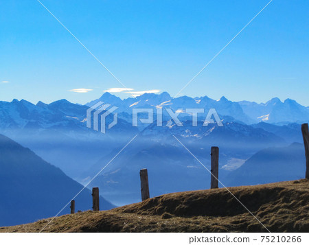 Rigi, Switzerland: View along a fence towards the Alps on a sunny winter day Rigi, Switzerland: View along a fence towards the Alps on a sunny winter day 75210266