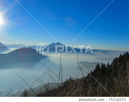 Rigi, Switzerland: View from the height down to lake lucerne in afternoon light Rigi, Switzerland: View from the height down to lake lucerne in afternoon light 75210272