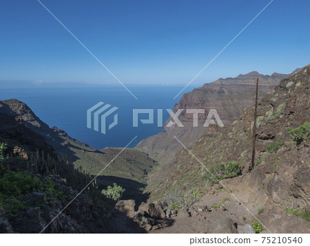 View of arid subtropical landscape of Barranco de Guigui Grande ravine with cacti and palm trees viewed from hiking trail Tasartico to Playa GuiGui beach. West of Gran Canaria, Canary Islands, Spain 75210540