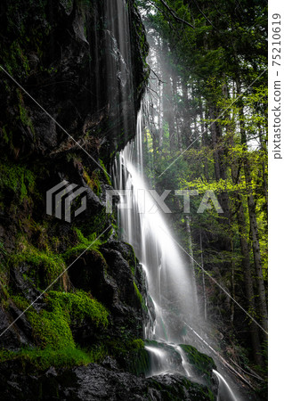 A small waterfall in an hidden place in black forrest 75210619
