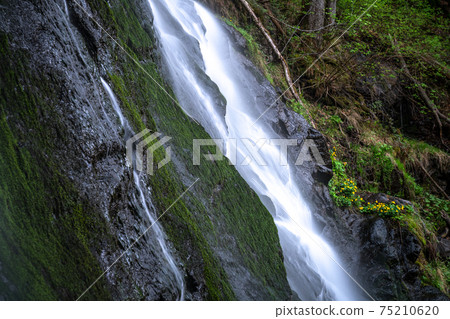 A small waterfall in an hidden place in black forrest 75210620