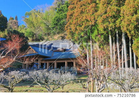 [Oita Prefecture] Usuki Stone Buddha, Hokiishi Buddha Group 2 75210786
