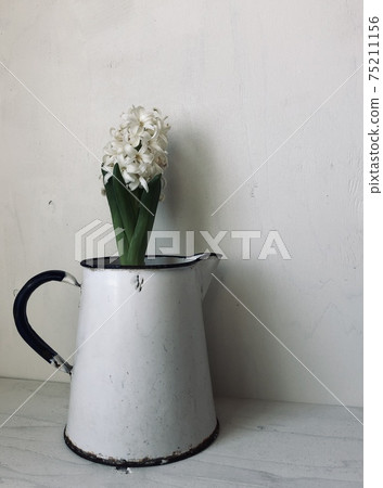 Hyacinth Jug Jug White 75211156