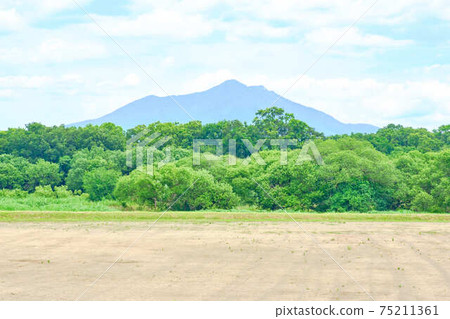 七月小宮河富愛公園 75211361