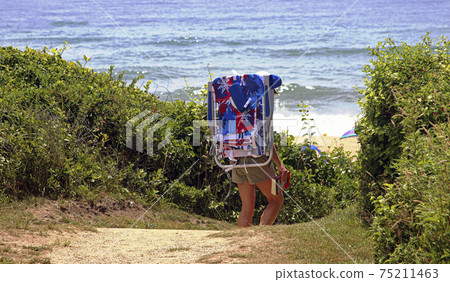 Women carrying beach chair wlking through dunes in Montalk 75211463