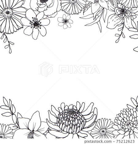 Flower line art frame - Stock Illustration [75212623] - PIXTA