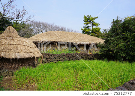Jeju Folk Village Jeju Folk Village 75212777