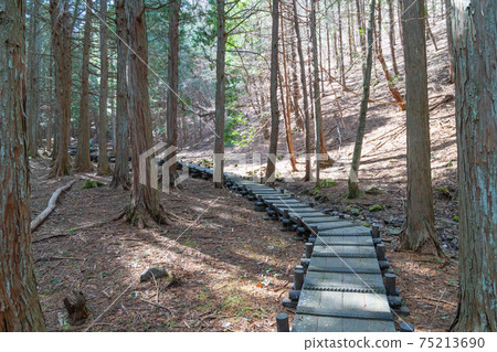 臭鼬白菜殖民地(玉宮臭鼬白菜公園) 臭鼬白菜殖民地(玉宮臭鼬白菜公園) 75213690