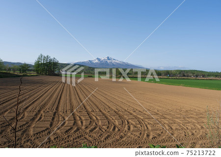 斜里山的遠景和高地 75213722