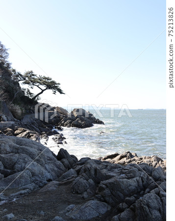 崎shore的海岸 崎shore的海岸 75213826
