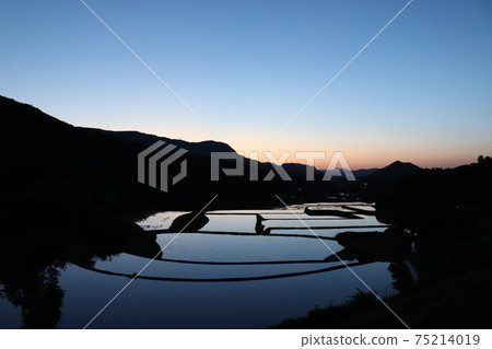 五月的稻田風光秀麗 五月的稻田風光秀麗 75214019