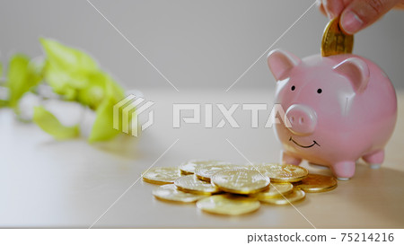 Piggy bank and bitcoin Piggy bank and bitcoin 75214216