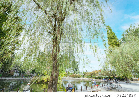 Park scenery People enjoying fishing at Akatsuka Park, Itabashi-ku, Tokyo Park scenery People enjoying fishing at Akatsuka Park, Itabashi-ku, Tokyo 75214857