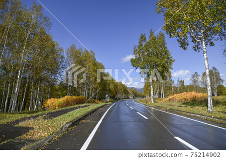 天氣雨後濕路 天氣雨後濕路 75214902