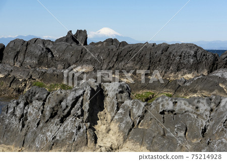Mt. Fuji from Arasaki Coast 75214928