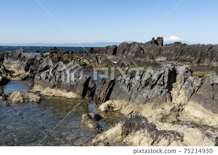 來自Arasaki Coast的富士山 75214930