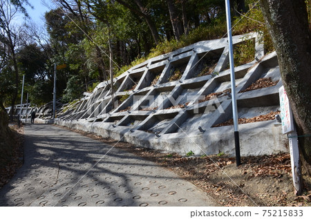 Steep slope at the foot of the mountain 75215833