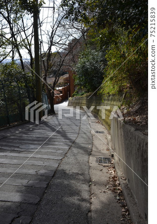 Steep slope at the foot of the mountain 75215839