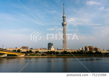 Tokyo Sky Tree and Sumida River from Sumida Park Tokyo Sky Tree and Sumida River from Sumida Park 75215998