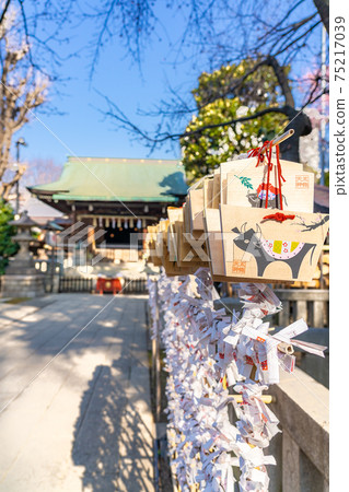 日本春天的梅花盛開的上野公園五條天神社 日本春天的梅花盛開的上野公園五條天神社 75217039