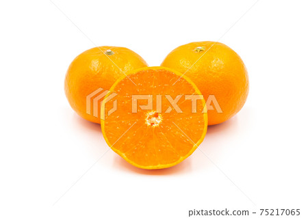 Mandarin oranges from Saga Prefecture [Hamasaki] 75217065