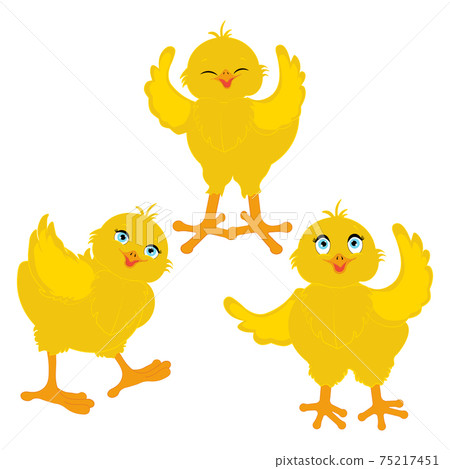 Chick bird cute little animal vector illustration 75217451
