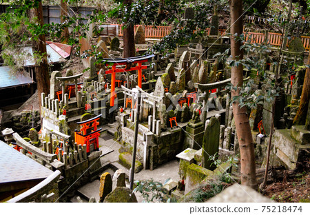 Kobogataki,大小的鳥居城門在稻荷山形成了一個不同的世界 Kobogataki,大小的鳥居城門在稻荷山形成了一個不同的世界 75218474