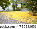 小秋天 75218959