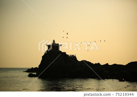 Spring trip, when the sea misses, Orangdae Spring trip, when the sea misses, Orangdae 75219344