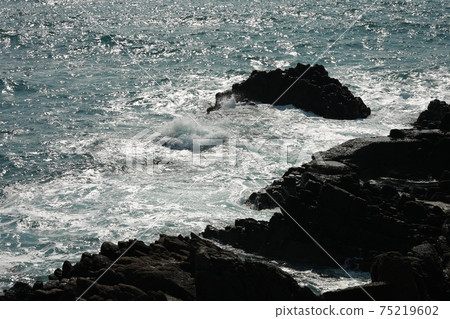 Spring sea, when the sea misses, Gijang Beach Spring sea, when the sea misses, Gijang Beach 75219602