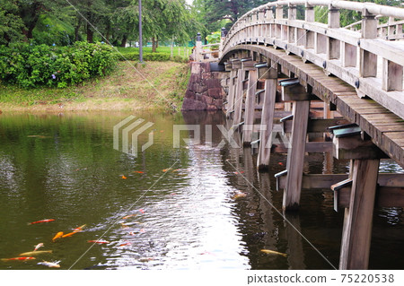 高田公園上的木橋 高田公園上的木橋 75220538