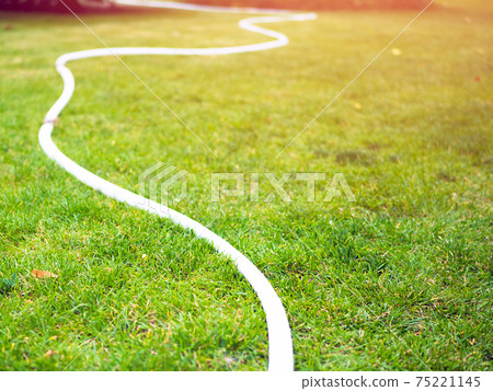 Watering hoses on a lawn Watering hoses on a lawn 75221145