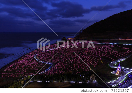 Noto Ishikawa_Illuminations of Shiroyone Senmaida Noto Ishikawa_Illuminations of Shiroyone Senmaida 75221267