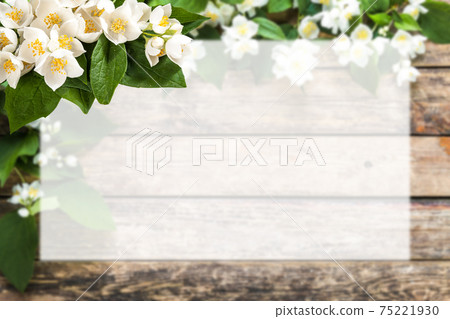 Spring card with jasmine flowers and place for text Spring card with jasmine flowers and place for text 75221930