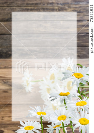 Spring card with chamomile flowers and place for text 75221931