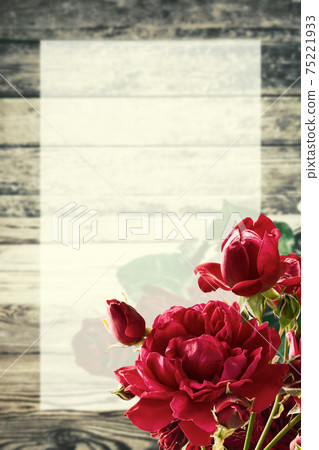 Spring card with rose flowers and place for text Spring card with rose flowers and place for text 75221933