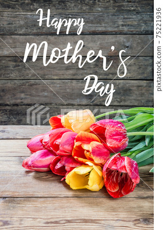 Greetings card with tulip flowers for Happy Mothers Day Greetings card with tulip flowers for Happy Mothers Day 75221936
