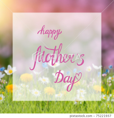Greetings card with flowers for Happy Mothers Day Greetings card with flowers for Happy Mothers Day 75221937