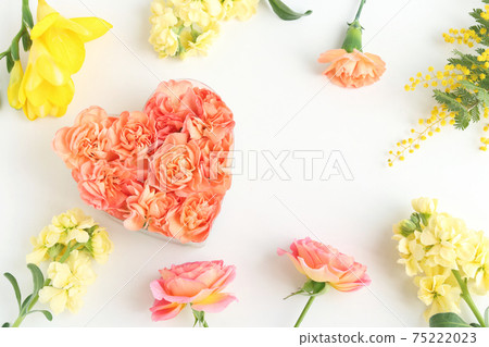 花框和康乃馨心 花框和康乃馨心 75222023