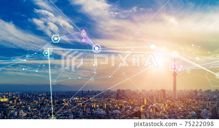城市和網絡智慧城市 75222098