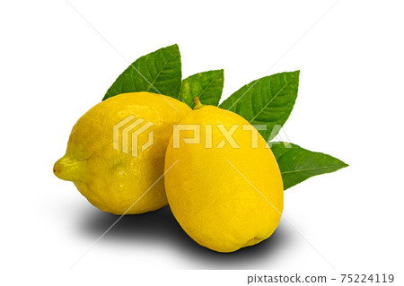 Closeup lemons with leaves isolated on white background. 75224119