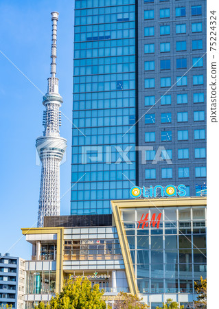 Cityscape of Tokyo Scenery around Kinshi Park 75224324