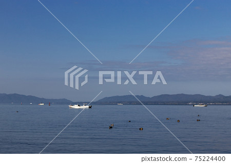 Lake Shinji and freshwater clam fishing in the early morning Matsue City, Shimane Prefecture 75224400