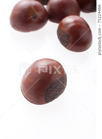 Tianjin Chestnut 75224466