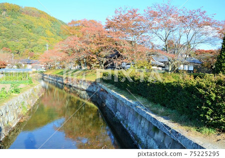 Tatsuoka Castle Goryokaku 75225295