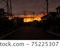 Evening grass 75225307