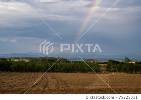 Spring Biei Hill Daisetsuzan and rainbow scenery Spring Biei Hill Daisetsuzan and rainbow scenery 75225311