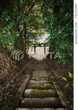 九州郡小九神社 九州郡小九神社 75225484