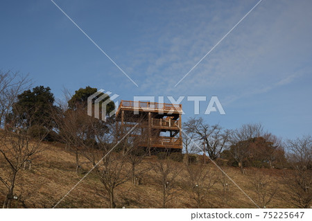 Beautiful scenery of Tomonoura in Hiroshima prefecture, Japan Beautiful scenery of Tomonoura in Hiroshima prefecture, Japan 75225647